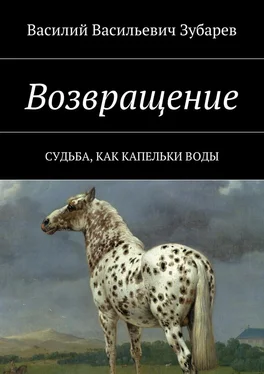 Василий Зубарев Возвращение. Судьба, как капельки воды обложка книги