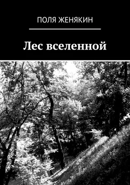 Поля Женякин Лес вселенной обложка книги