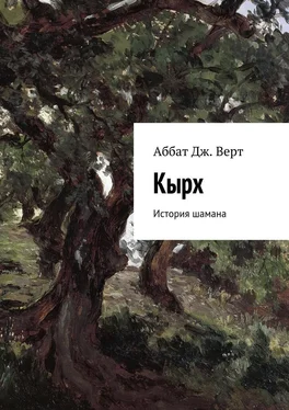 Аббат Дж. Верт Кырх. История шамана обложка книги