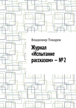 Владимир Токарев Журнал «Испытание рассказом» – №2 обложка книги