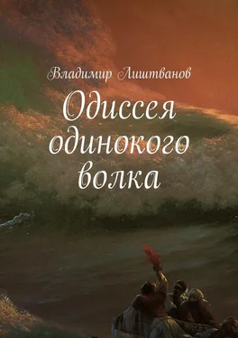 Владимир Лиштванов Одиссея одинокого волка обложка книги