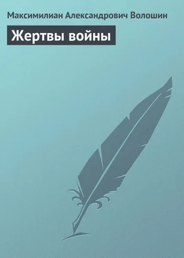 Максимилиан Волошин Жертвы войны обложка книги