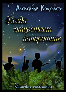 Александр Колупаев Когда отцветет папоротник обложка книги