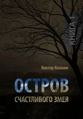 Виктор Квашин - Остров счастливого змея. Книга 1