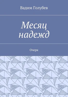 Вадим Голубев Месяц надежд. Очерк обложка книги