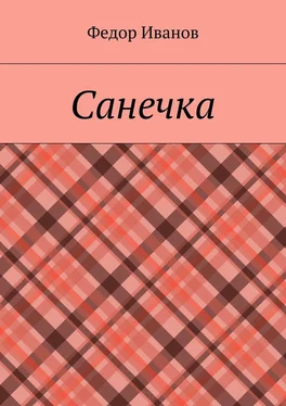 Федор Иванов Санечка обложка книги