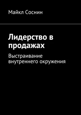 Майкл Соснин Лидерство в продажах. Выстраивание внутреннего окружения обложка книги