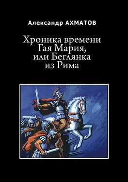 Александр Ахматов Хроника времени Гая Мария, или Беглянка из Рима. Исторический роман обложка книги