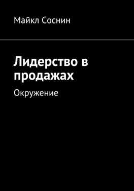 Майкл Соснин Лидерство в продажах. Окружение обложка книги