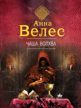 Анна Велес Чаша волхва обложка книги