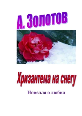 А. Золотов Хризантема на снегу. Новелла о любви обложка книги