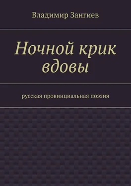 Владимир Зангиев Ночной крик вдовы. Русская провинциальная поэзия обложка книги