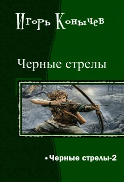 Игорь Конычев Черные стрелы 2 обложка книги