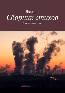 Людвиг Сборник стихов. Потусторонние стихи обложка книги