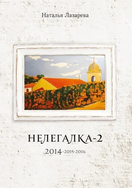 Наталья Лазарева Нелегалка-2. 2014—2015—2016 обложка книги