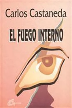 Carlos Castaneda El Fuego Interno обложка книги