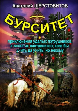 Анатолий Шерстобитов Бурситет. Приключения удалых пэтэушников, а также их наставников, кого бы учить да учить, но некому обложка книги