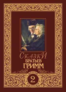 Якоб и Вильгельм Гримм Сказки братьев Гримм. Том 2 обложка книги