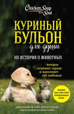 Марк Виктор Хансен Куриный бульон для души: 101 история о животных (сборник) обложка книги
