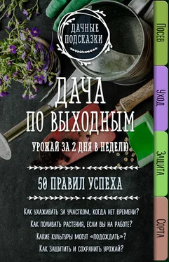 Мария Колпакова Дача по выходным. Урожай за 2 дня. 50 правил успеха обложка книги