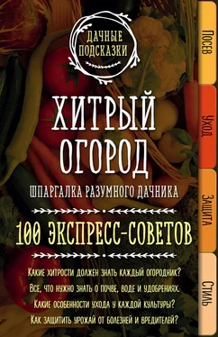 Мария Колпакова Хитрый огород. Шпаргалка разумного дачника. 100 экспресс-советов обложка книги