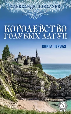 Александр Поваляев Королевство голубых лагун обложка книги