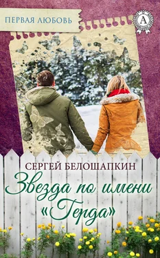 Сергей Белошапкин Звезда по имени «Герда» обложка книги