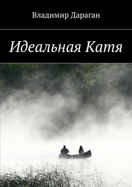 Владимир Дараган Идеальная Катя обложка книги