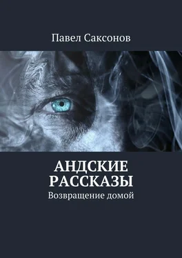 Павел Саксонов Андские рассказы. Возвращение домой обложка книги