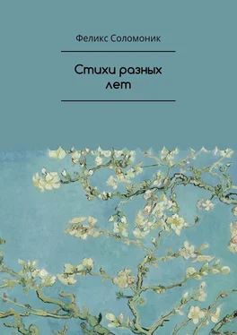 Феликс Соломоник Стихи разных лет обложка книги