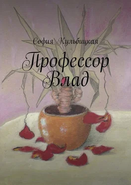 София Кульбицкая Профессор Влад обложка книги