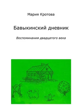 Мария Кротова Бавыкинский дневник. Воспоминания двадцатого века обложка книги