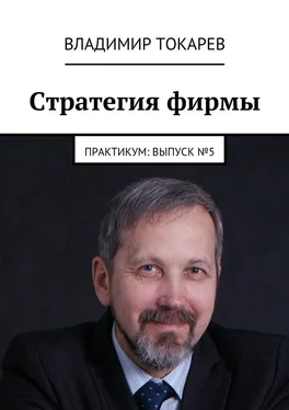 Владимир Токарев Стратегия фирмы. Практикум: Выпуск №5 обложка книги