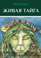 Виктор Квашин - Живая тайга. Сказки