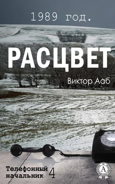 Виктор Ааб 1989 год. Расцвет обложка книги