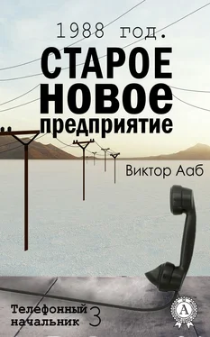 Виктор Ааб 1988 год. Старое новое предприятие обложка книги