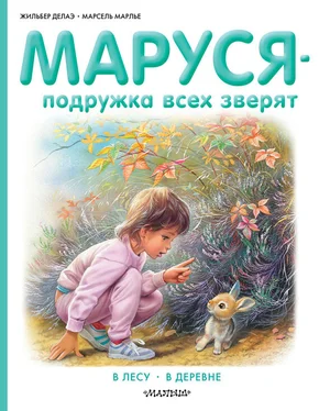 Марсель Марлье Маруся – подружка всех зверят: В лесу. В деревне (сборник) обложка книги