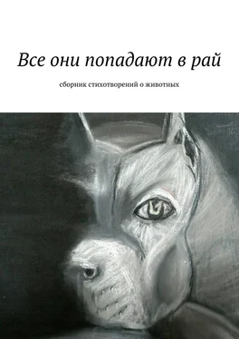 Коллектив авторов Все они попадают в рай. Сборник стихотворений о животных обложка книги