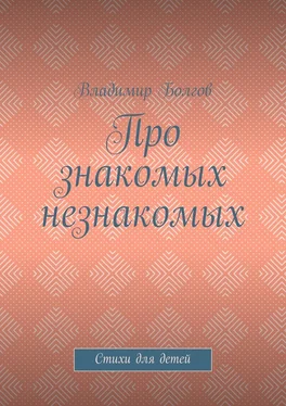 Владимир Болгов Про знакомых незнакомых. Стихи для детей обложка книги