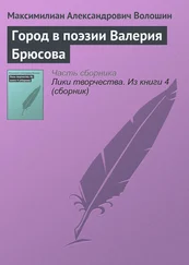 Максимилиан Волошин - Город в поэзии Валерия Брюсова