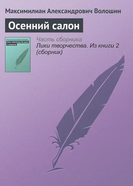 Максимилиан Волошин Осенний салон обложка книги