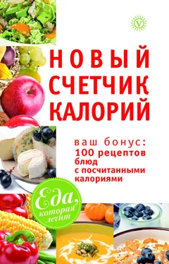 М. Смирнова Новый счетчик калорий. Ваш бонус: 100 рецептов блюд с посчитанными калориями обложка книги