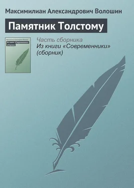 Максимилиан Волошин Памятник Толстому обложка книги