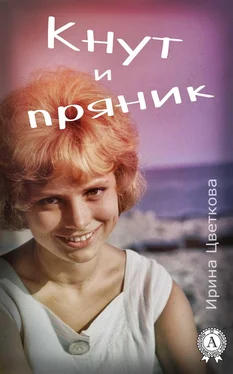 Ирина Цветкова Кнут и пряник обложка книги