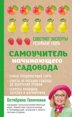 Октябрина Ганичкина Самоучитель начинающего садовода обложка книги