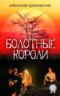 Александр Данковский Болотные короли обложка книги