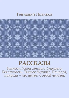 Геннадий Новиков Рассказы. Банкрот. Город светлого будущего. Беспечность. Темное будущее. Природа, природа – что делает с отбой человек обложка книги