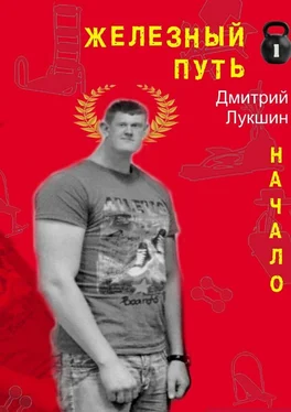 Дмитрий Лукшин Железный путь. Начало обложка книги