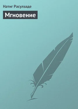 Натиг Расулзаде Мгновение обложка книги