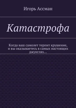 Игорь Ассман Катастрофа обложка книги